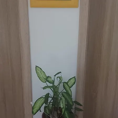 Гостевой дом хостел Познань