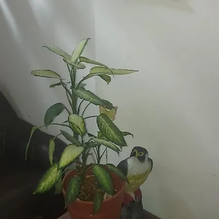 Hostel Guest house Poznan