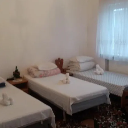 Guest house Hostel
