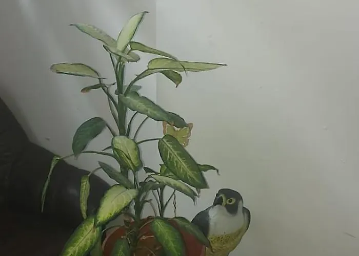 Noclegi Vendégház Poznań